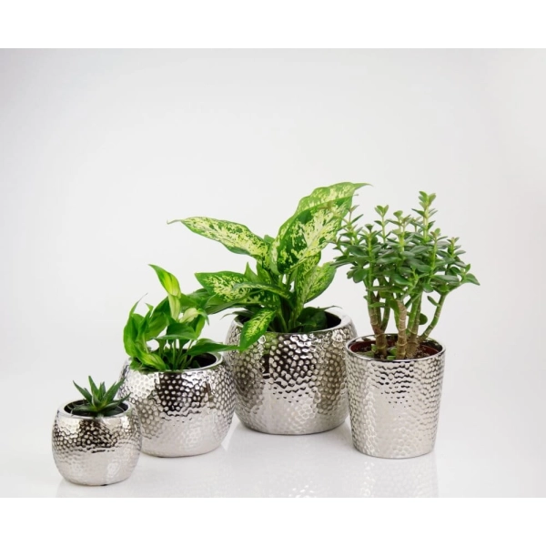 OSŁONKA CERAMICZNA SREBRNA 15CM